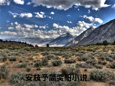 安枝予简奕阳（安枝予简奕阳全文免费）全文免费阅读大结局_（安枝予简奕阳）全文免费阅读无弹窗最新章节列表_笔趣阁（安枝予简奕阳）