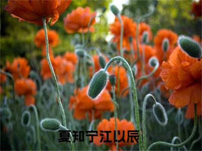 夏知宁江以辰知乎免费阅读-（夏知宁江以辰）全文免费阅读无弹窗大结局（夏知宁江以辰）最新章节列表_笔趣阁
