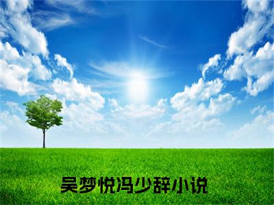 吴梦悦冯少辞推荐免费新书，吴梦悦冯少辞小说试读