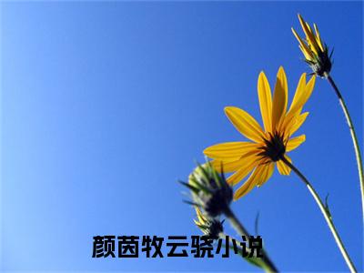 颜茵牧云骁小说全文免费阅读（颜茵牧云骁）全文免费阅读无弹窗大结局_(颜茵牧云骁)颜茵牧云骁小说免费阅读无弹窗最新章节列表_笔趣阁（颜茵牧云骁）