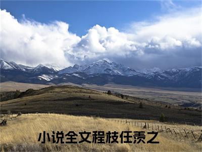程枝任羡之（程枝任羡之小说全文）在线阅读-程枝任羡之全文免费阅读无弹窗大结局