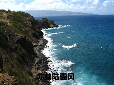 主角苏柚陆霆风小说免费阅读全文苏柚陆霆风-苏柚陆霆风小说番外苏柚陆霆风全文阅读