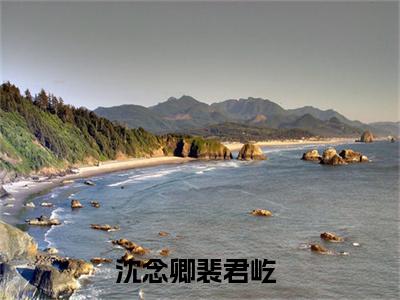 沈念卿裴君屹豪门小说《沈念卿裴君屹》最新章阅读-沈念卿裴君屹小说今日更新