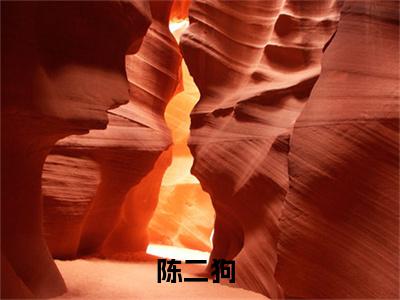 举世神医小说全文免费阅读-（陈二狗）抖音新书热荐举世神医全文免费阅读