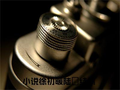 徐初暖陆玦在线阅读小说推荐-徐初暖陆玦免费阅读全文