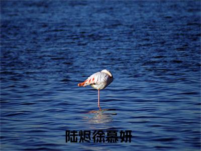陆烬徐慕妍精选小说大结局阅读-新上热文小说（陆烬徐慕妍）讲的是什么