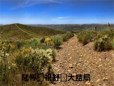 《陆怀璟祝舒珣》陆怀璟祝舒珣（大结局小说全集完整版）陆怀璟祝舒珣小说_全文阅读笔趣阁