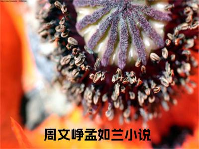 周文峥孟如兰小说（周文峥孟如兰）全文免费阅读无弹窗大结局_周文峥孟如兰（周文峥孟如兰）最新章节列表-笔趣阁（周文峥孟如兰）