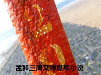 孟如兰周文峥知乎小说小说全集 孟如兰周文峥无删减在线阅读