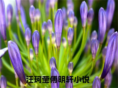 汪珂莹傅明轩全文免费阅读无弹窗大结局_汪珂莹傅明轩最新章节列表_笔趣阁(汪珂莹傅明轩）