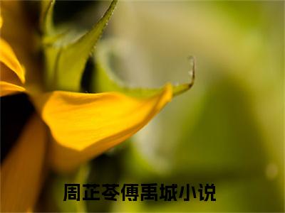 今日书单周芷苓傅禹城最新更新-周芷苓傅禹城全文在线观看