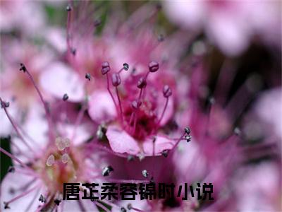 唐芷柔容锦时（唐芷柔容锦时）全文阅读-（唐芷柔容锦时）小说免费阅读最新章节