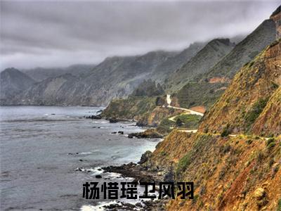 杨惜瑶卫风羽全文免费在线阅读_（杨惜瑶卫风羽全文免费阅读无弹窗大结局）杨惜瑶卫风羽最新章节列表笔趣阁