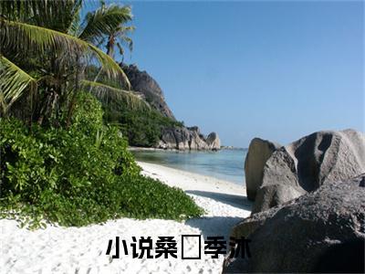 桑婈季沐（桑婈季沐）小说免费阅读完结版-桑婈季沐小说全文免费阅读