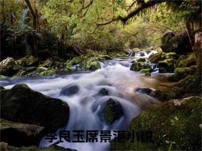 李良玉席景湛全文免费阅读无弹窗大结局-李良玉席景湛(李良玉席景湛小说)最新章节-笔趣阁