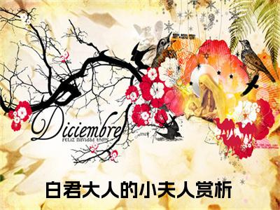 苏婉白重（白君大人的小夫人）全文免费阅读无弹窗大结局_苏婉白重_笔趣阁