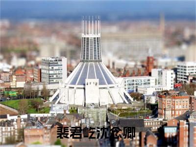 裴君屹沈念卿(裴君屹沈念卿)全文免费阅读无弹窗大结局_裴君屹沈念卿完整版在线阅读章节列表_笔趣阁