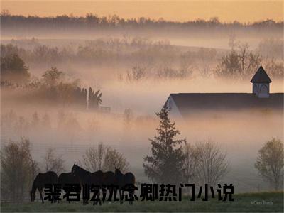 裴君屹沈念卿完整版最新小说大结局 裴君屹沈念卿最新章节