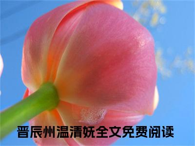 晋辰州温清妩全文免费阅读（晋辰州温清妩）全文免费阅读大结局_晋辰州温清妩全文免费阅读无弹窗_笔趣阁