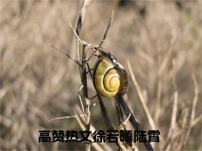徐若曦陆霄(徐若曦陆霄)免费全文阅读小说_（徐若曦陆霄）徐若曦陆霄最新章节列表-笔趣阁（徐若曦陆霄）