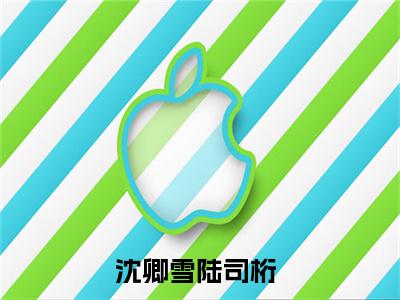 沈卿雪陆司桁小说最新章节阅读 沈卿雪陆司桁全文免费阅读最新章节大结局