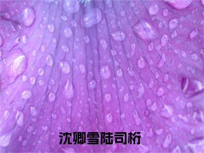 沈卿雪陆司桁（沈卿雪陆司桁最新全章节大结局）全文阅读-沈卿雪陆司桁在线小说免费阅读