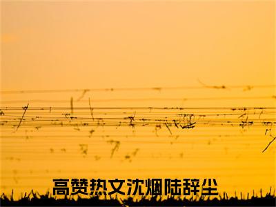 沈烟陆辞尘全文小说全章节阅读