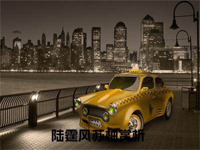 陆霆风苏柚抖音完结版阅读《陆霆风苏柚抖音》最新章节目录好书推荐_(陆霆风苏柚)