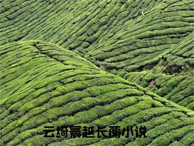 云绮寰越长蘅（云绮寰越长蘅）小说全文无删减-云绮寰越长蘅小说大结局免费阅读