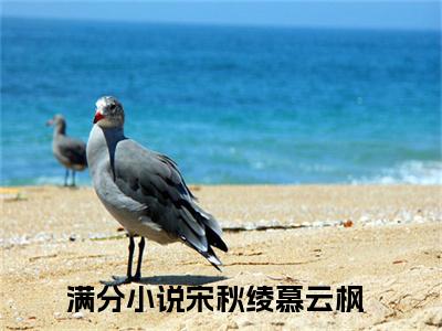 宋秋绫慕云枫甜宠小说哪里能看宋秋绫慕云枫-宋秋绫慕云枫小说阅读全集