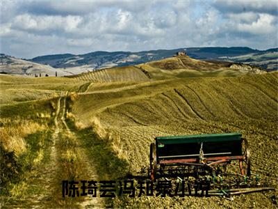 陈琦芸冯知泉(陈琦芸冯知泉)是什么小说-美文赏析陈琦芸冯知泉抖音热文分享