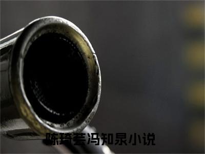 陈琦芸冯知泉(陈琦芸冯知泉)全文免费阅读无弹窗大结局_(陈琦芸冯知泉免费阅读全文大结局)最新章节列表_笔趣阁（陈琦芸冯知泉）