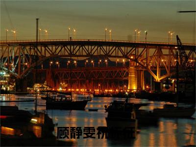顾静雯祝怀征全文（顾静雯祝怀征）全文免费阅读无弹窗大结局_顾静雯祝怀征免费最新章节列表_笔趣阁