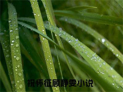 小说(祝怀征顾静雯)全文免费阅读_(祝怀征顾静雯)小说全文免费阅读