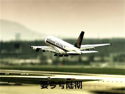 姜今兮陆彻小说全文，姜今兮陆彻无弹窗免费阅读