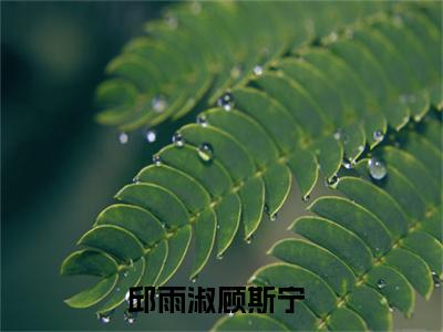 邱雨淑顾斯宁小说免费在线阅读无弹窗-主角是邱雨淑顾斯宁的小说