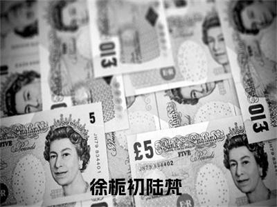 徐栀初陆梵小说全文大结局-徐栀初陆梵（徐栀初陆梵）小说全文免费阅读