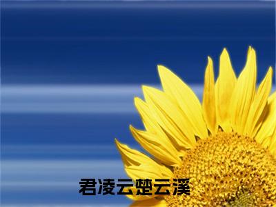 （君凌云楚云溪）全文免费阅读无弹窗大结局_君凌云楚云溪免费小说最新章节列表笔趣阁（君凌云楚云溪）