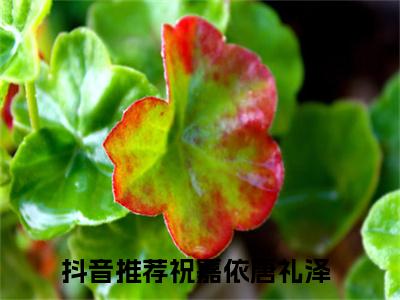 祝嘉依唐礼泽全文免费阅读无弹窗大结局_章节列表_笔趣阁