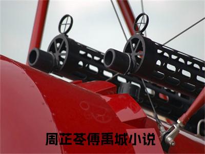 周芷苓傅禹城全本小说无弹窗阅读-周芷苓傅禹城（周芷苓傅禹城）精彩热门小说