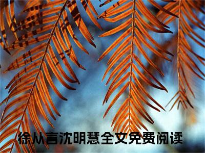 徐从言沈明慧小说最新章节阅读-小说（徐从言沈明慧）已完结小说精彩大结局