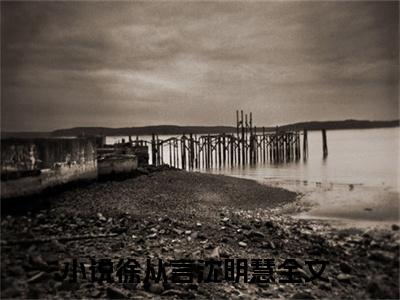 徐从言沈明慧全文免费阅读-小说徐从言沈明慧大结