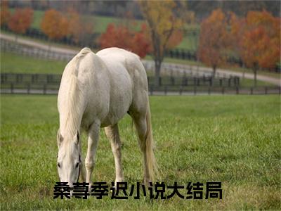 （桑荨季迟）全文免费阅读无弹窗大结局_（桑荨季迟）章节列表_笔趣阁
