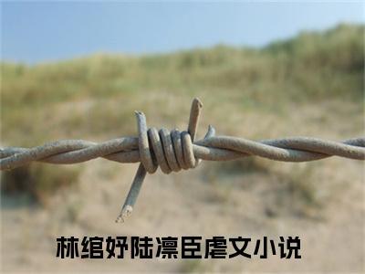 精选小说（林绾妤陆凛臣）全本阅读-林绾妤陆凛臣免费阅读-笔趣阁（林绾妤陆凛臣）