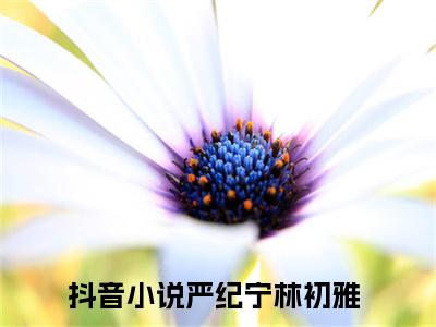 严纪宁林初雅（严纪宁林初雅小说）全文免费阅读无弹窗大结局_(严纪宁林初雅小说免费阅读)严纪宁林初雅最新章节列表