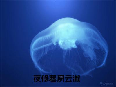 夜修寒夙云淑（夜修寒夙云淑）全文免费阅读无弹窗大结局_（夜修寒夙云淑全文）夜修寒夙云淑最新章节列表笔趣阁（夜修寒夙云淑）