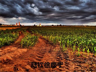 陆钦徐樱宁全文免费阅读无弹窗大结局-陆钦徐樱宁川在线阅读