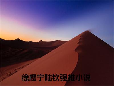 徐樱宁陆钦（徐樱宁陆钦）小说全文免费阅读无弹窗-徐樱宁陆钦全章节在线阅读