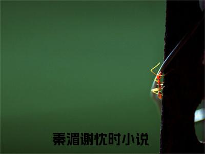 秦湄谢忱时近新热推小说-秦湄谢忱时完整版在线阅读