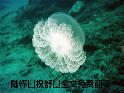 陆怀璟祝舒珣全文免费阅读无弹窗大结局-陆怀璟祝舒珣 全文全章节免费阅读